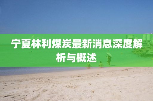 寧夏林利煤炭最新消息深度解析與概述