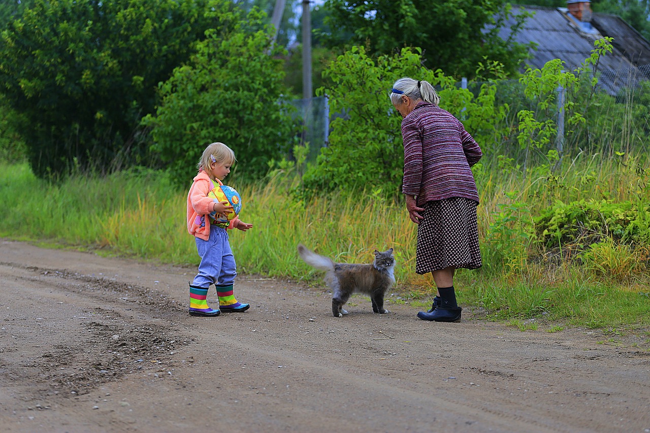 最新農(nóng)村愛情電視劇，鄉(xiāng)村生活的浪漫與真實(shí)之旅