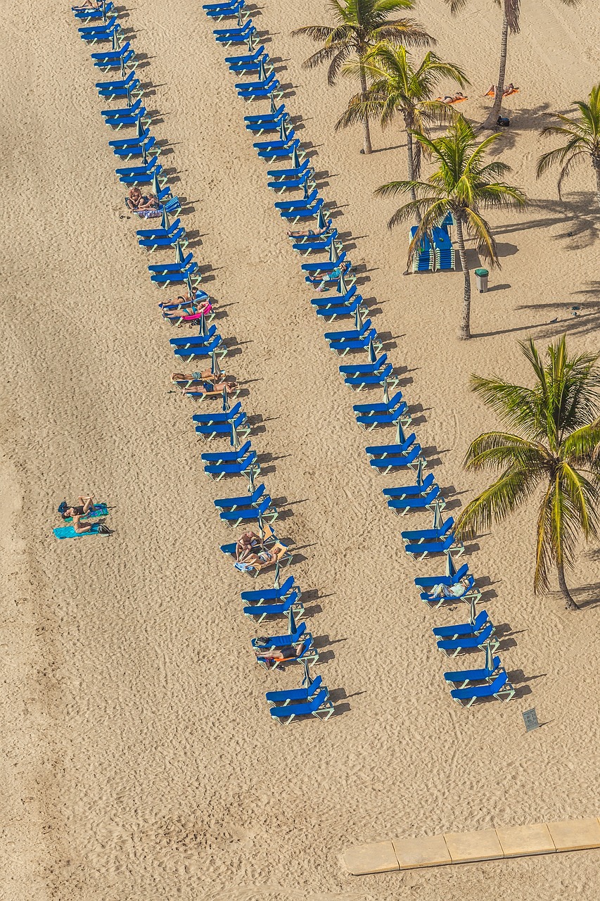 迷你世界最新版，探索與體驗(yàn)之旅