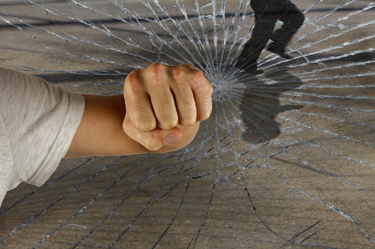 龍的世界最新破解版，警示違法犯罪的虛擬世界風(fēng)險揭秘