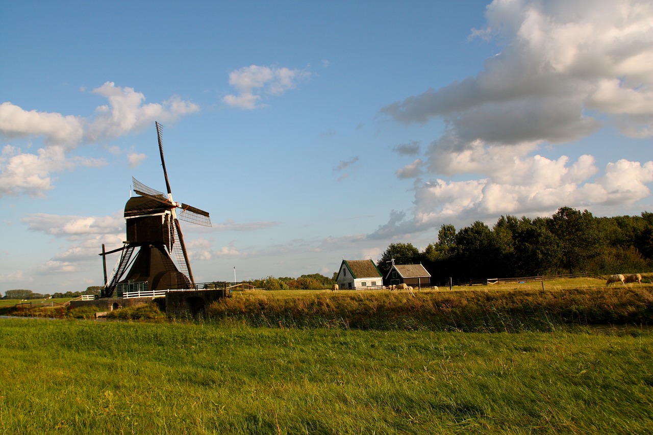 沙鍋村改造最新動態(tài)，重塑鄉(xiāng)村風(fēng)貌，引領(lǐng)鄉(xiāng)村振興之路