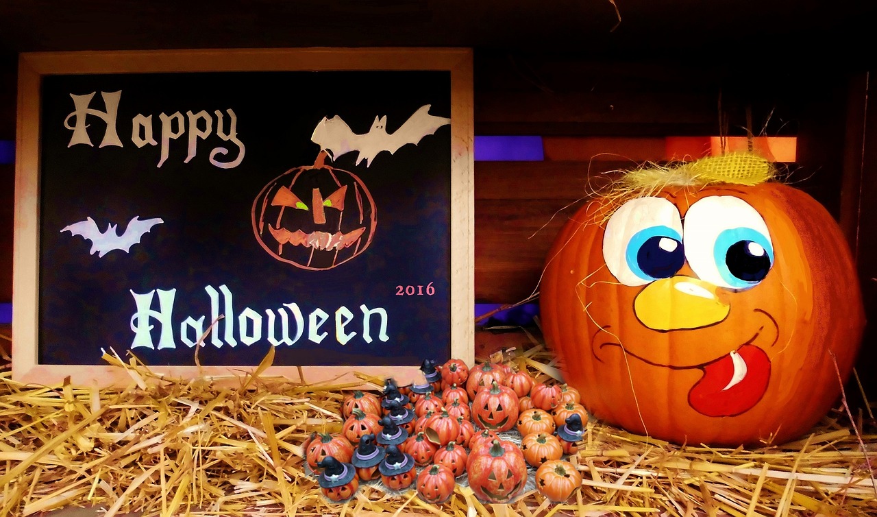 凱里張淼最新動態(tài)揭秘，探尋神秘面紗下的最新消息