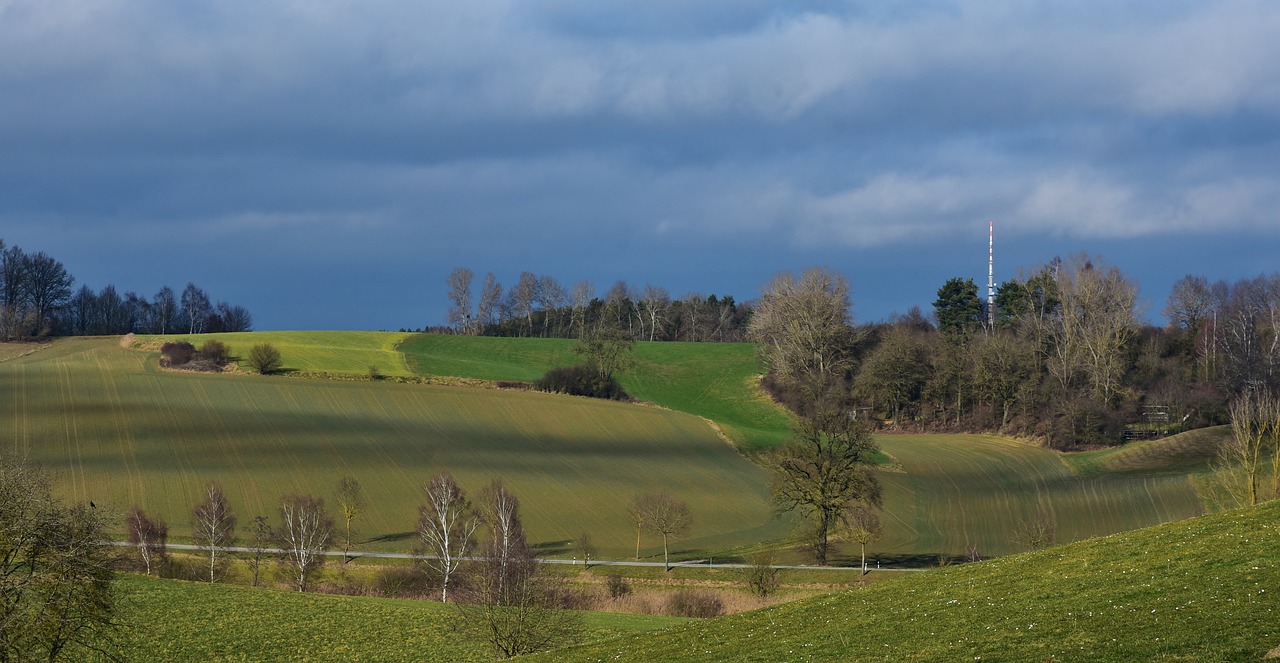上海土地拍賣最新動態(tài)，市場走勢、政策影響與未來展望