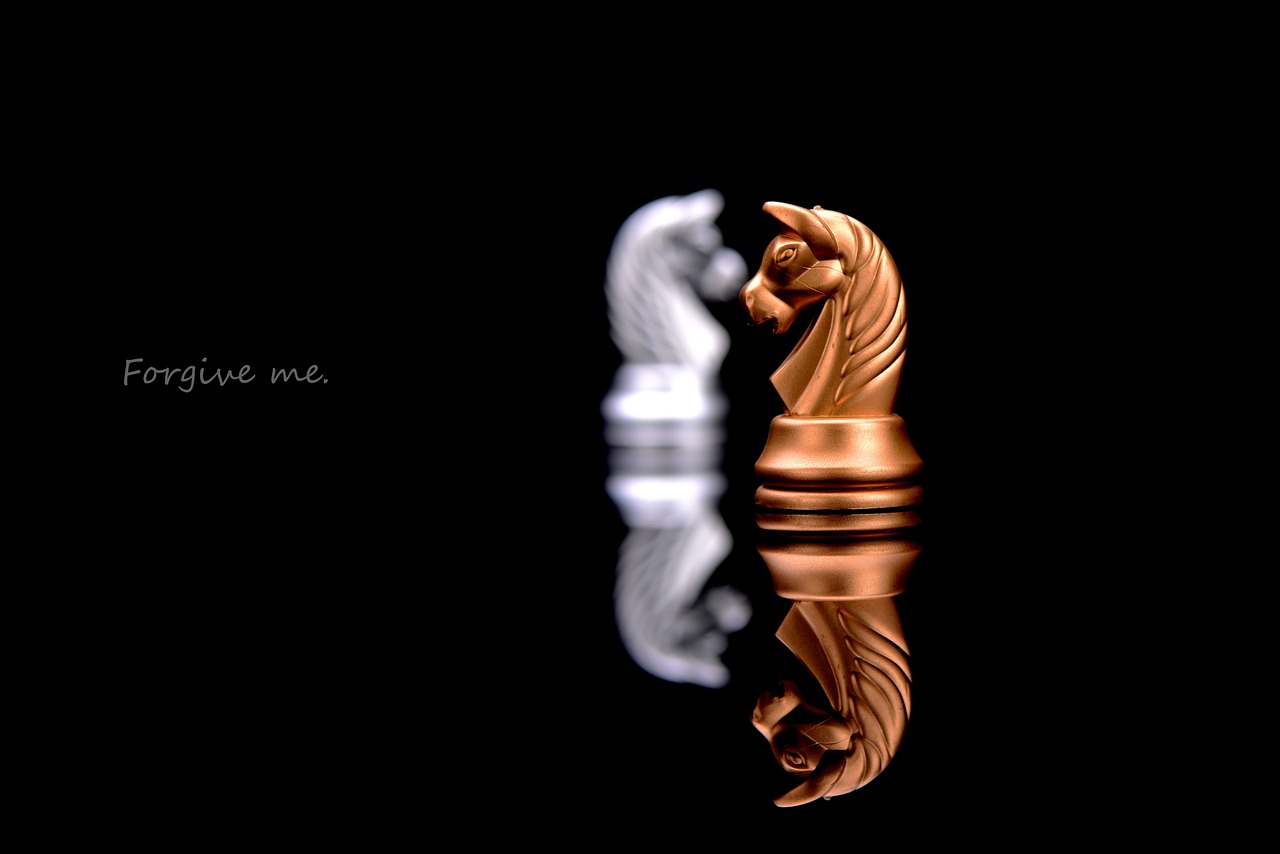 舟山沉船事件最新動(dòng)態(tài)，全面解析事件進(jìn)展與后續(xù)關(guān)注