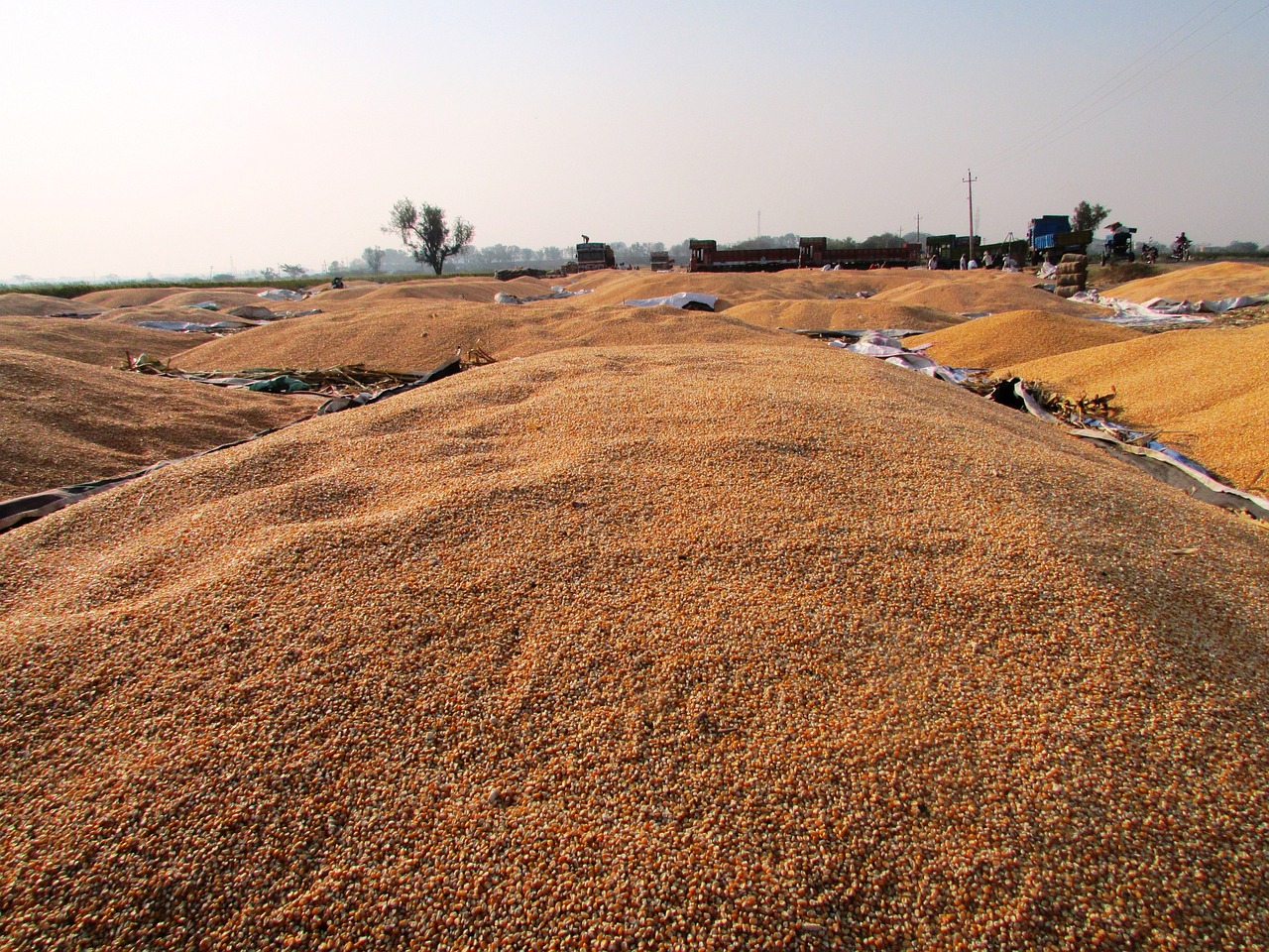 武漢公車拍賣最新動(dòng)態(tài)，公開透明拍賣引領(lǐng)市場(chǎng)新風(fēng)向