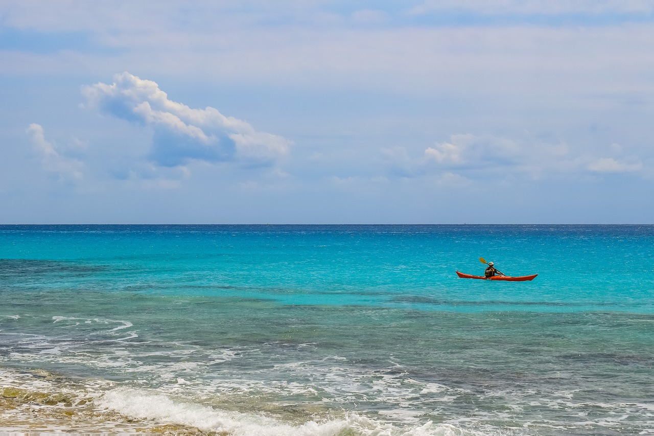 光緒元寶銅幣最新動(dòng)態(tài)，收藏市場(chǎng)的新焦點(diǎn)揭秘