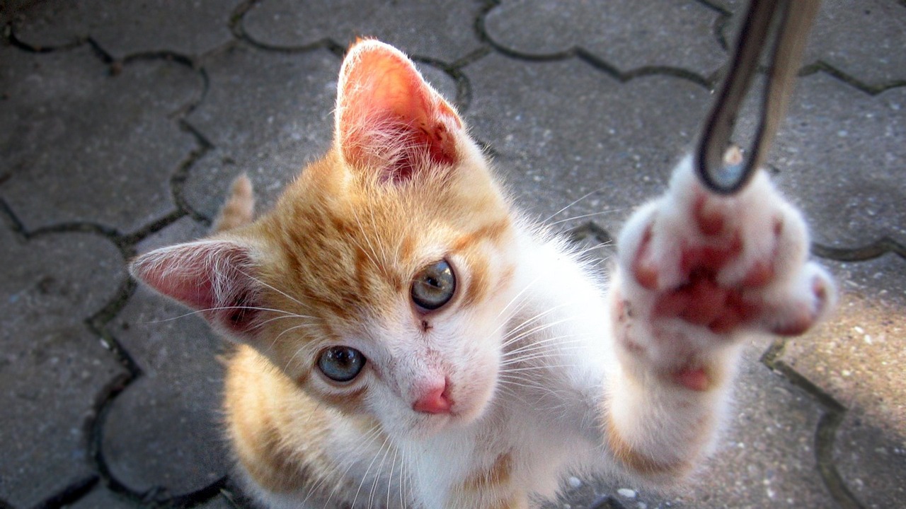 山大搬遷最新動態(tài)，邁向新征程，開啟新篇章