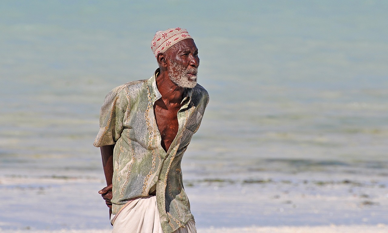 中華孝道園最新消息,中華孝道園最新動(dòng)態(tài)，傳承與創(chuàng)新的融合