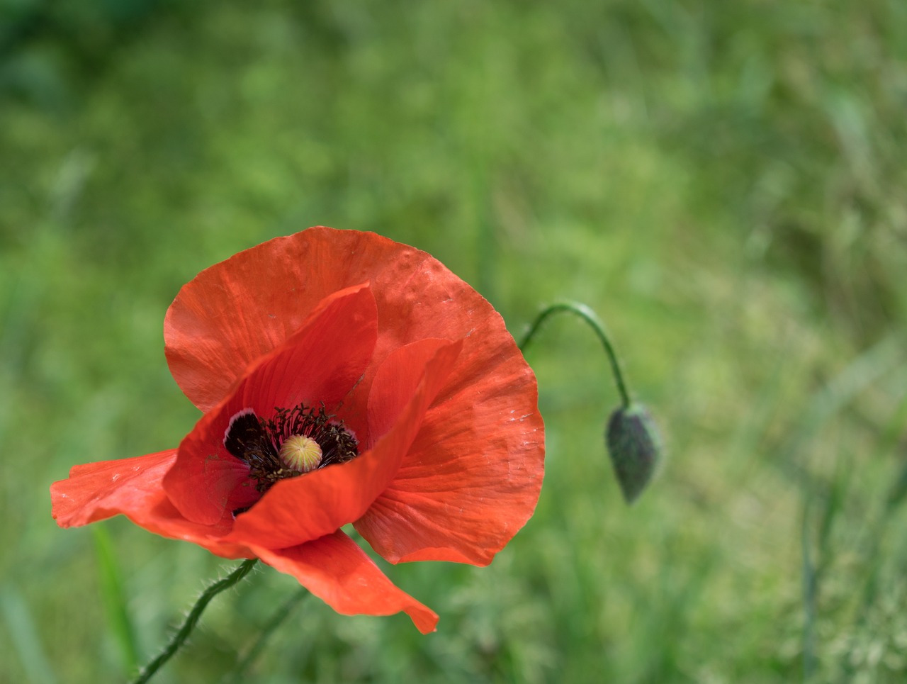 杭州恒祺克拉天璽最新動(dòng)態(tài)深度解析