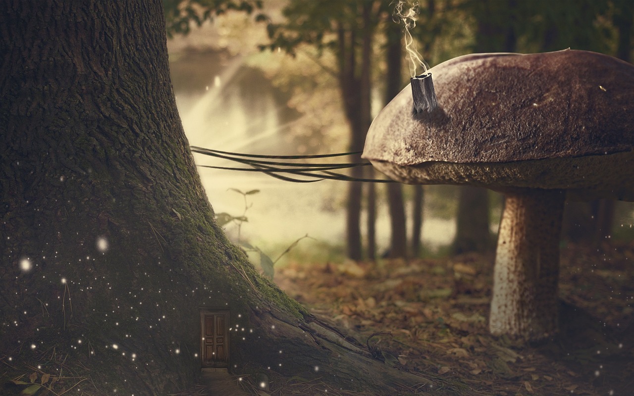 高考最新消息更新，最新動態(tài)與變化解讀