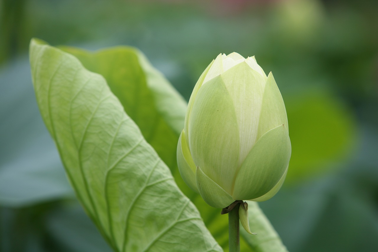 大地傳媒重組最新動態(tài)，重塑傳媒產業(yè)格局取得重大進展