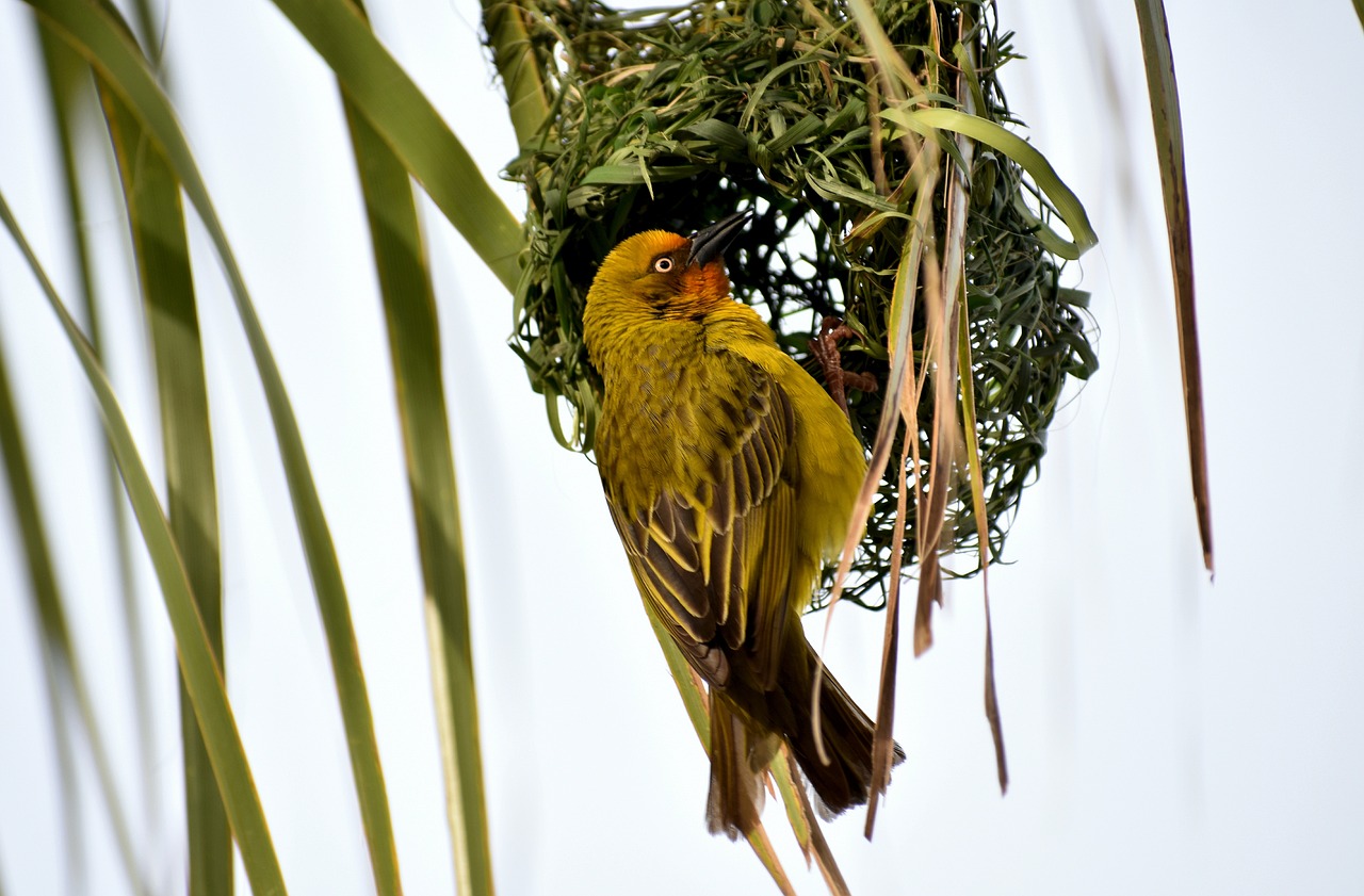 東莞建暉紙業(yè)最新招聘動(dòng)態(tài)及職業(yè)發(fā)展探討，招聘信息與職業(yè)發(fā)展機(jī)會(huì)一覽