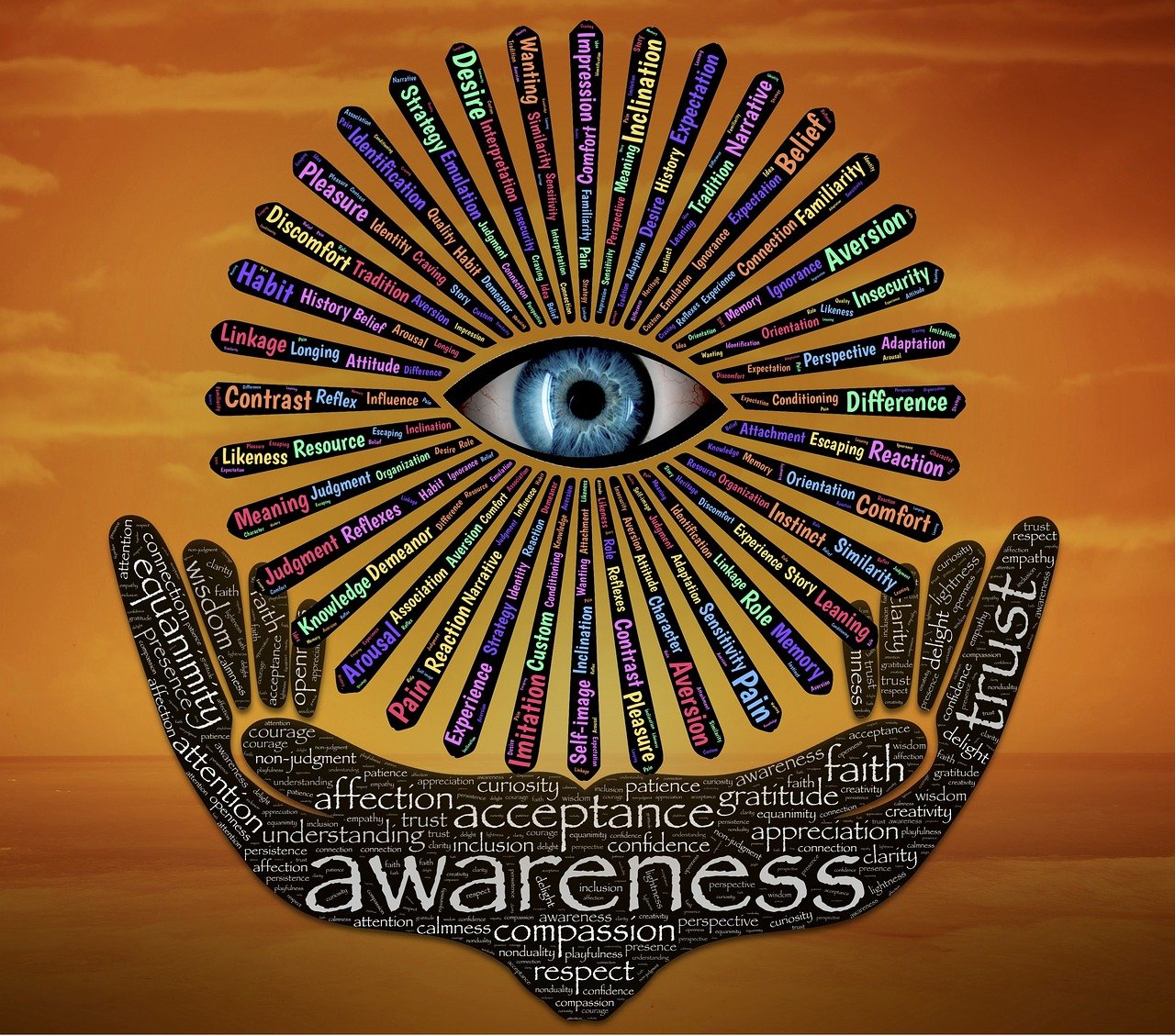 權(quán)力巔峰，官場探索與反思的啟示