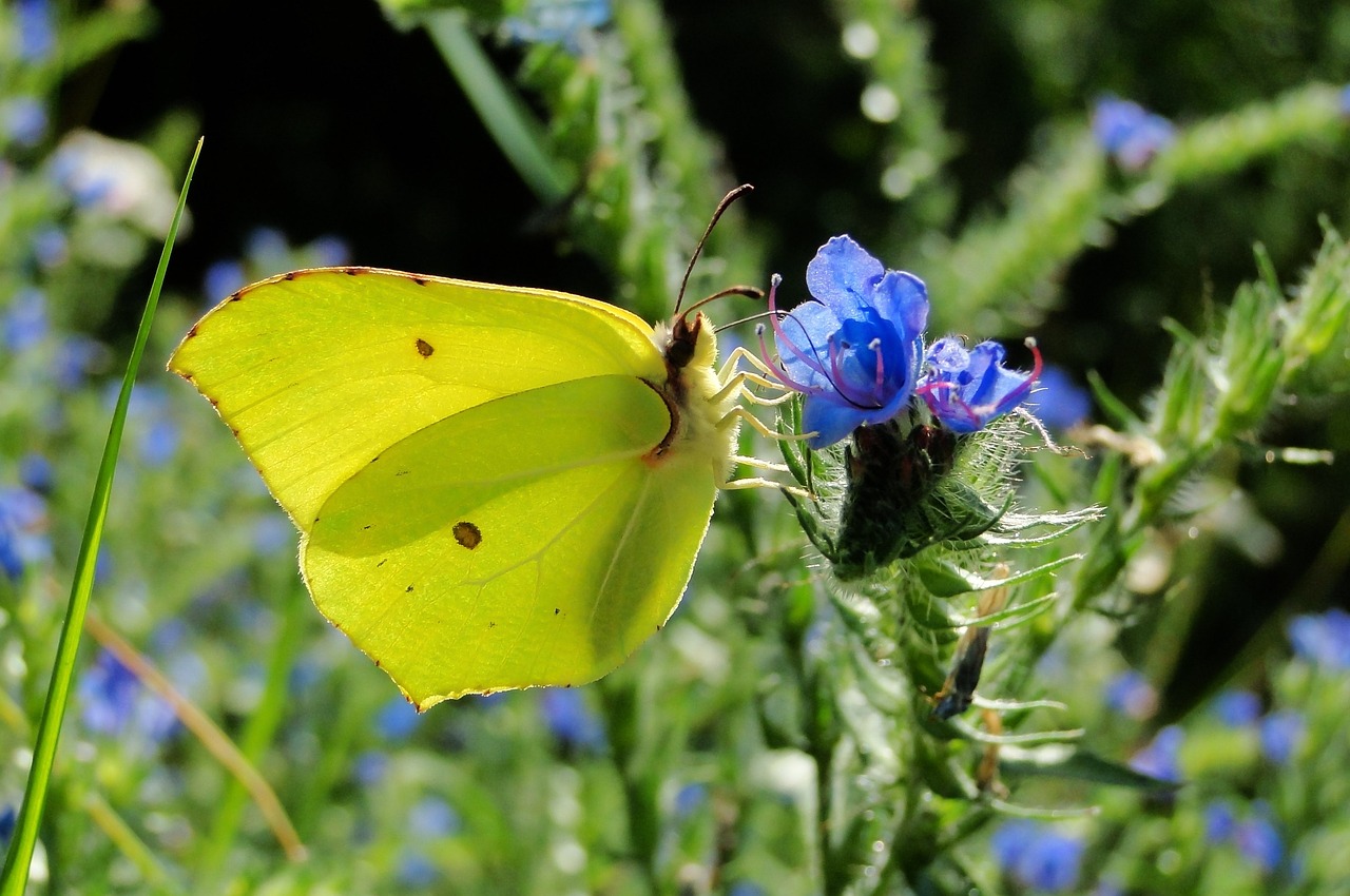 天津津南永旺最新狀況概覽，最新進(jìn)展與動(dòng)態(tài)更新