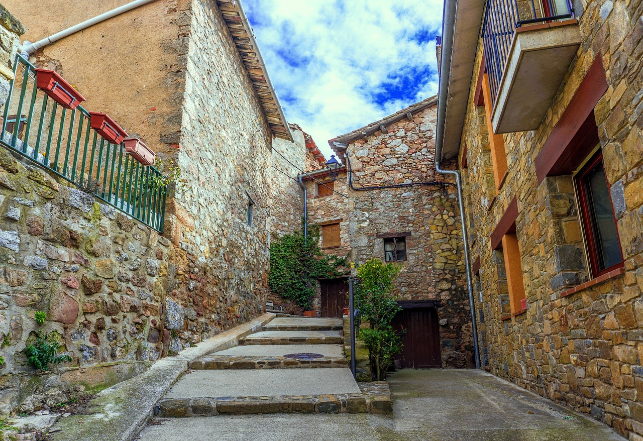 馮某針案最新進(jìn)展深度探究，最新動態(tài)與情況更新（1.21版）