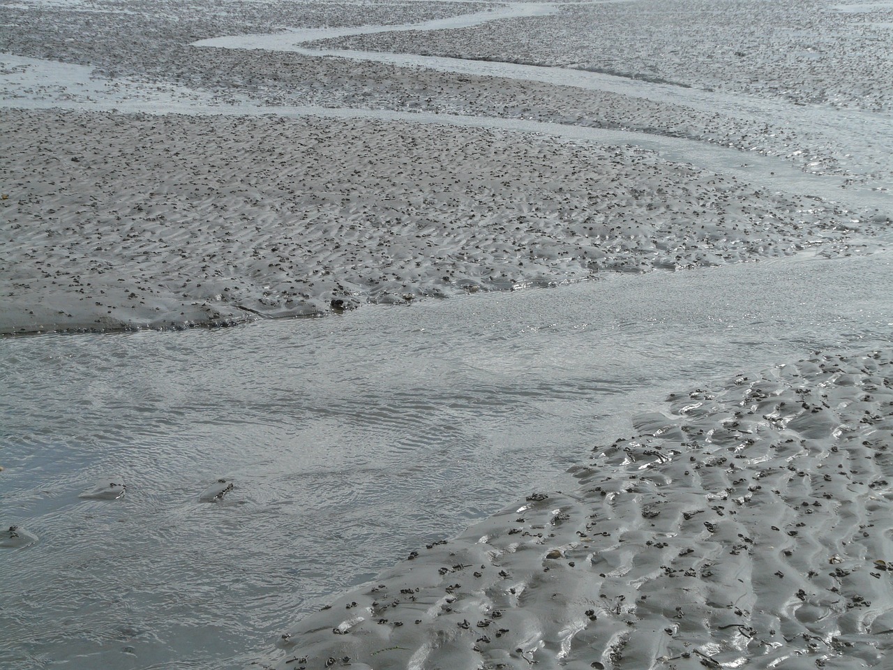 北海傳銷最新動態(tài)曝光，真相揭秘與風險警惕