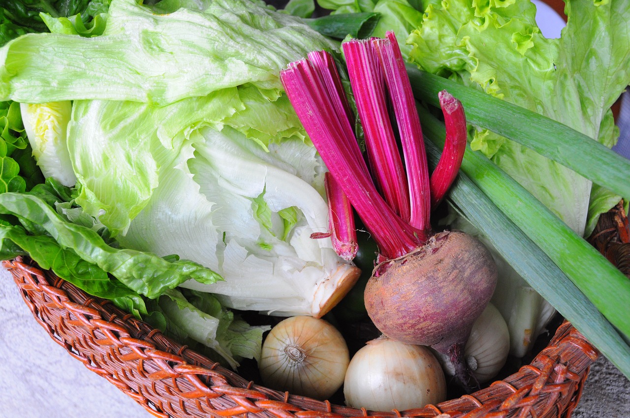 臺風(fēng)最新動態(tài)，廣泛影響需加強防范