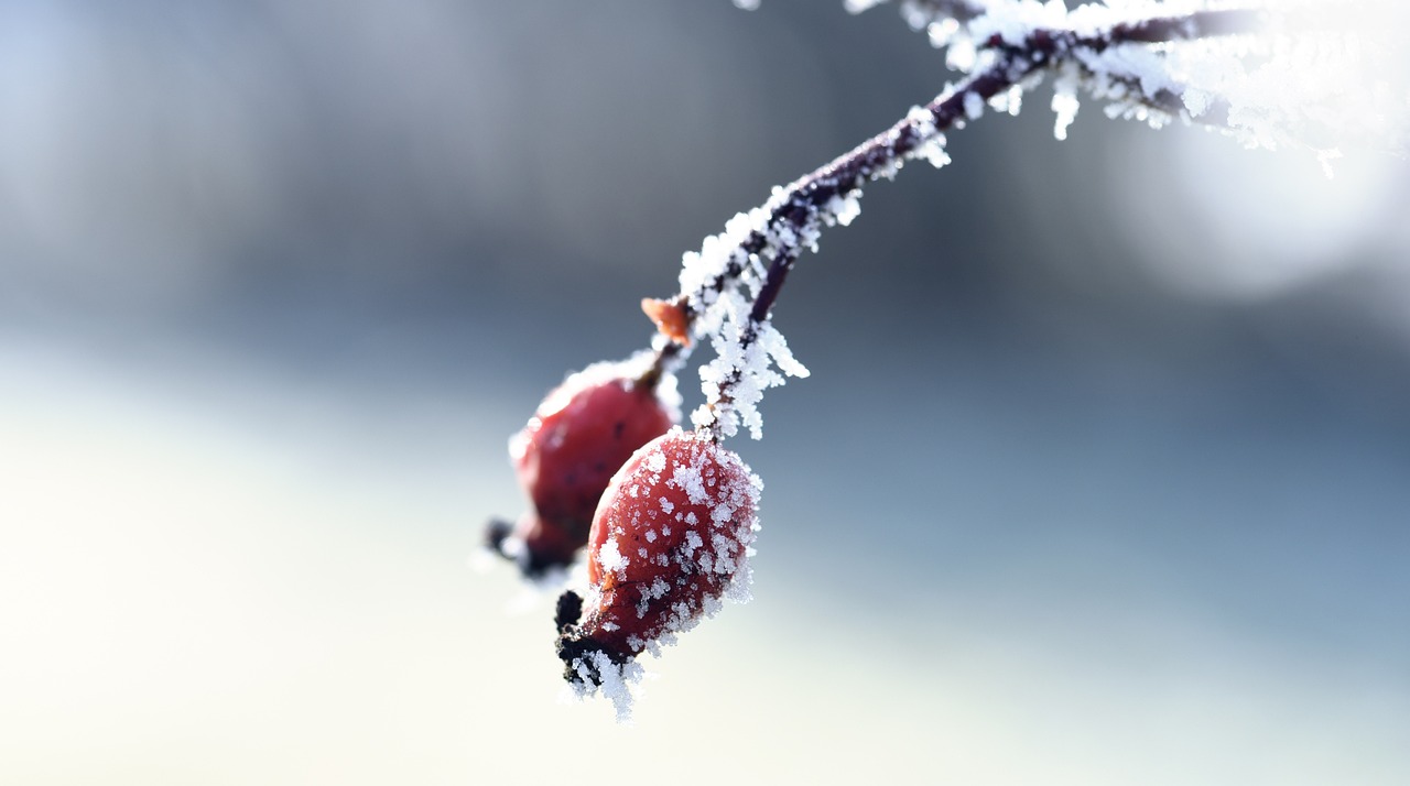 資興新房出售最新消息揭秘，最新房源動態(tài)與優(yōu)惠信息一網(wǎng)打盡！