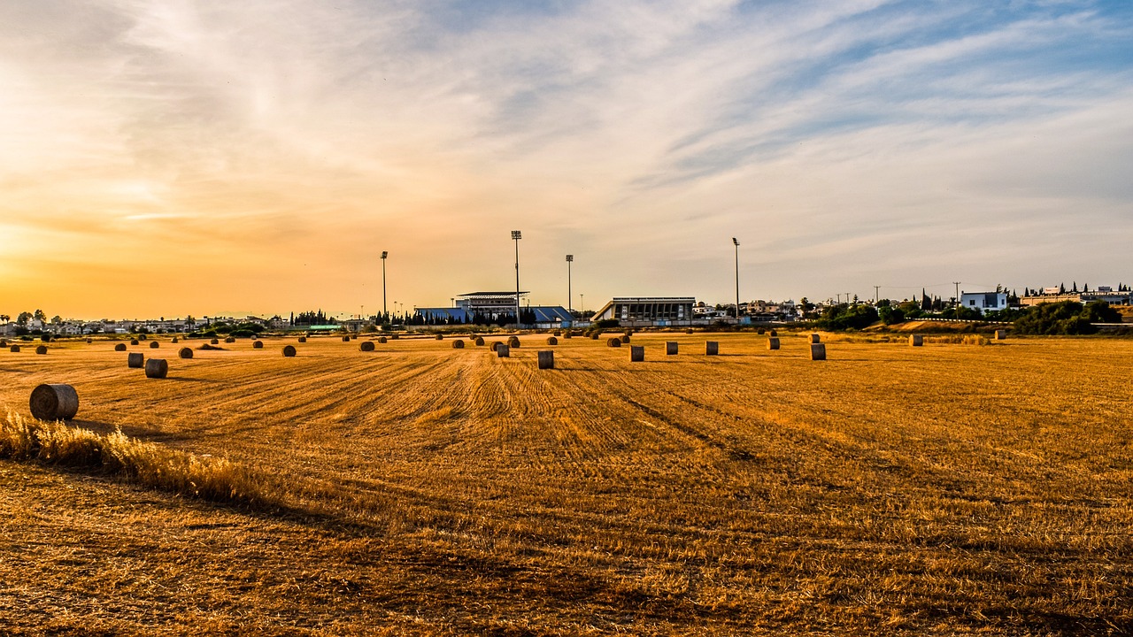 地稅機(jī)構(gòu)改革最新動態(tài)，深化稅務(wù)改革，優(yōu)化服務(wù)以提升效率