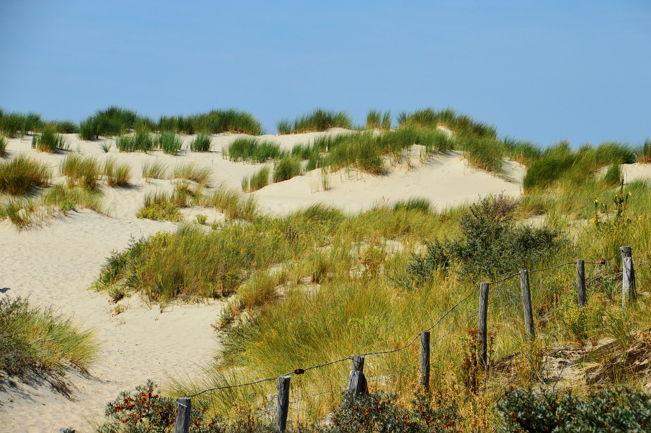 海啟高速如東最新消息概覽，最新動(dòng)態(tài)與進(jìn)展報(bào)告