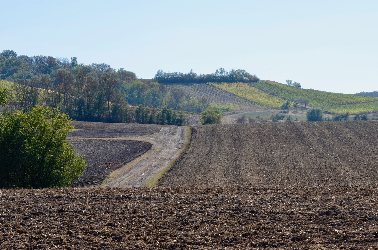 小藍(lán)工業(yè)園最新招聘動(dòng)態(tài)，崗位空缺與產(chǎn)業(yè)影響力分析