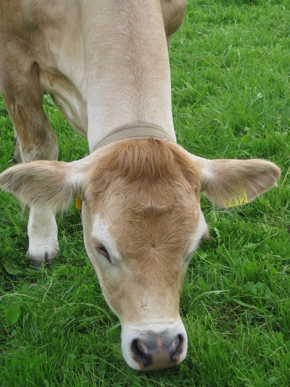 芊茗靜語 第21頁