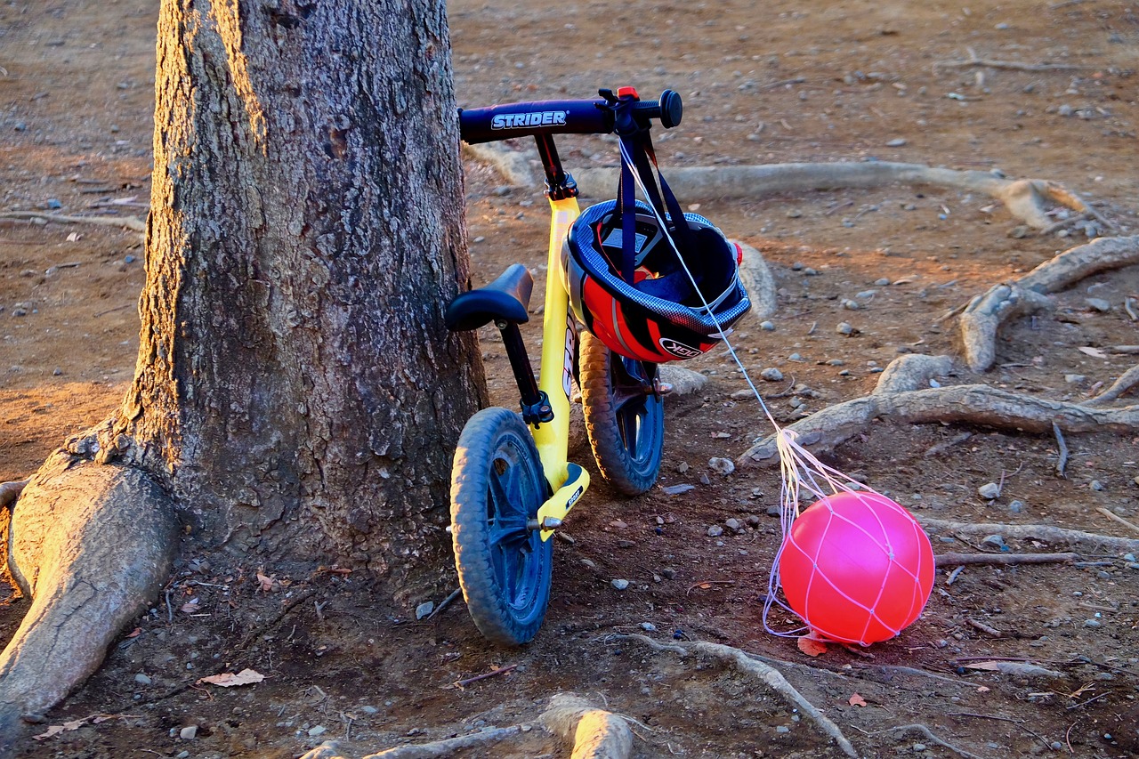 收養(yǎng)法修改最新動(dòng)態(tài)，重塑收養(yǎng)制度，保障兒童權(quán)益