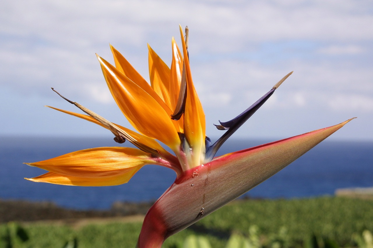 滬強(qiáng)巴黎春天最新動態(tài)，先鋒力量重塑城市魅力
