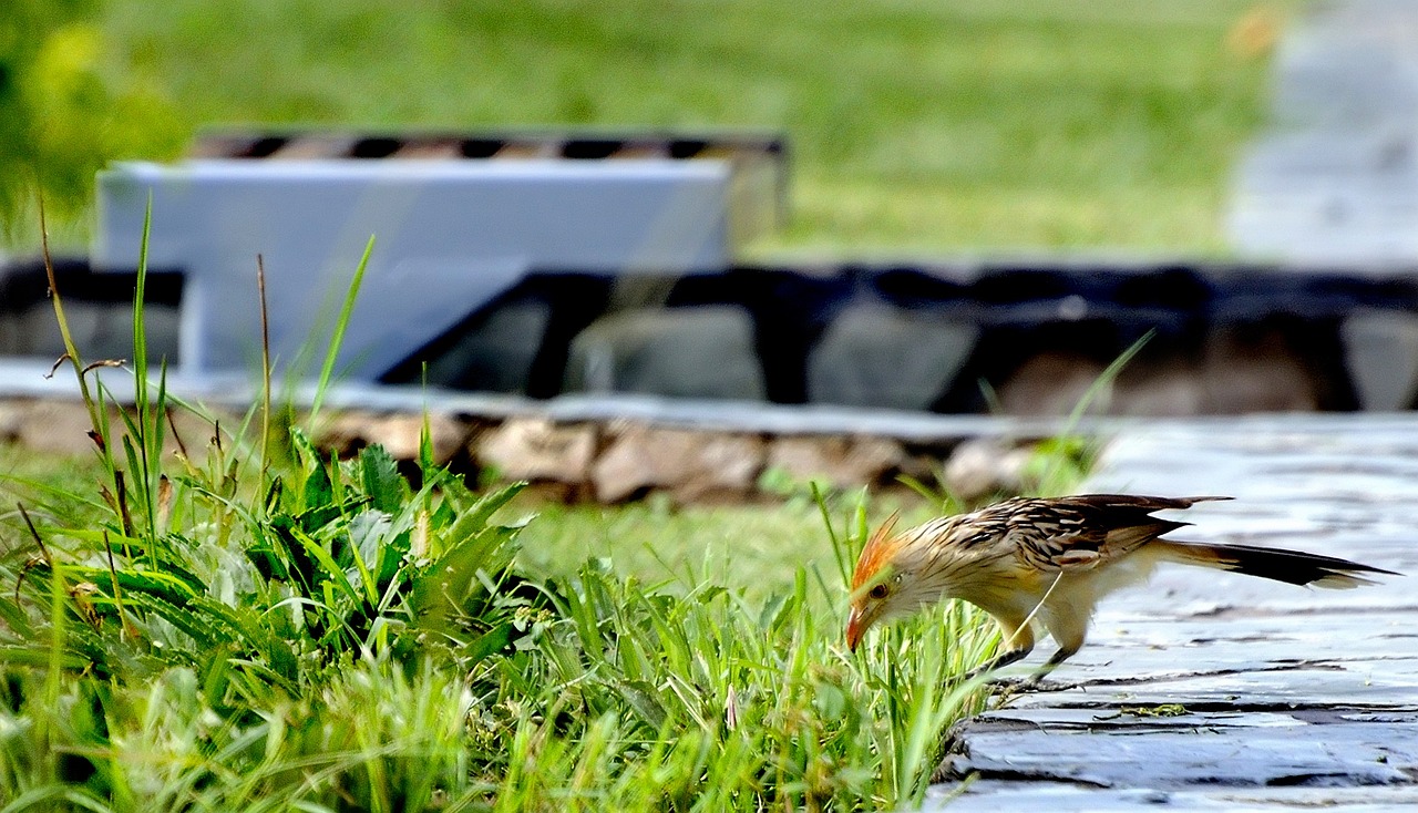 蚌埠匯金廣場最新動態(tài)更新，最新消息一覽