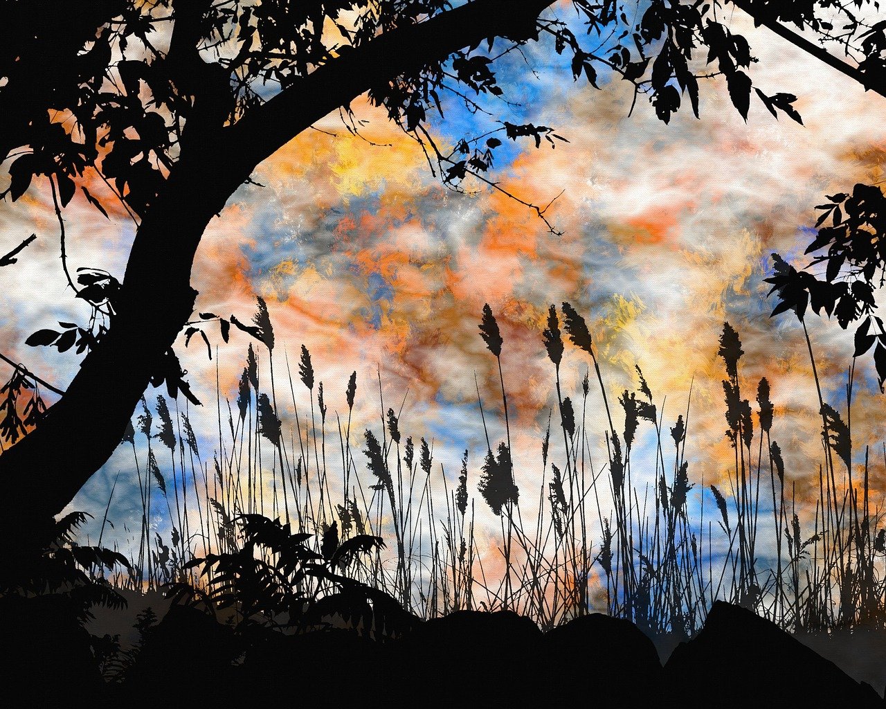 探尋靈魂的迷離之旅，魂不守舍沈秋最新章節(jié)