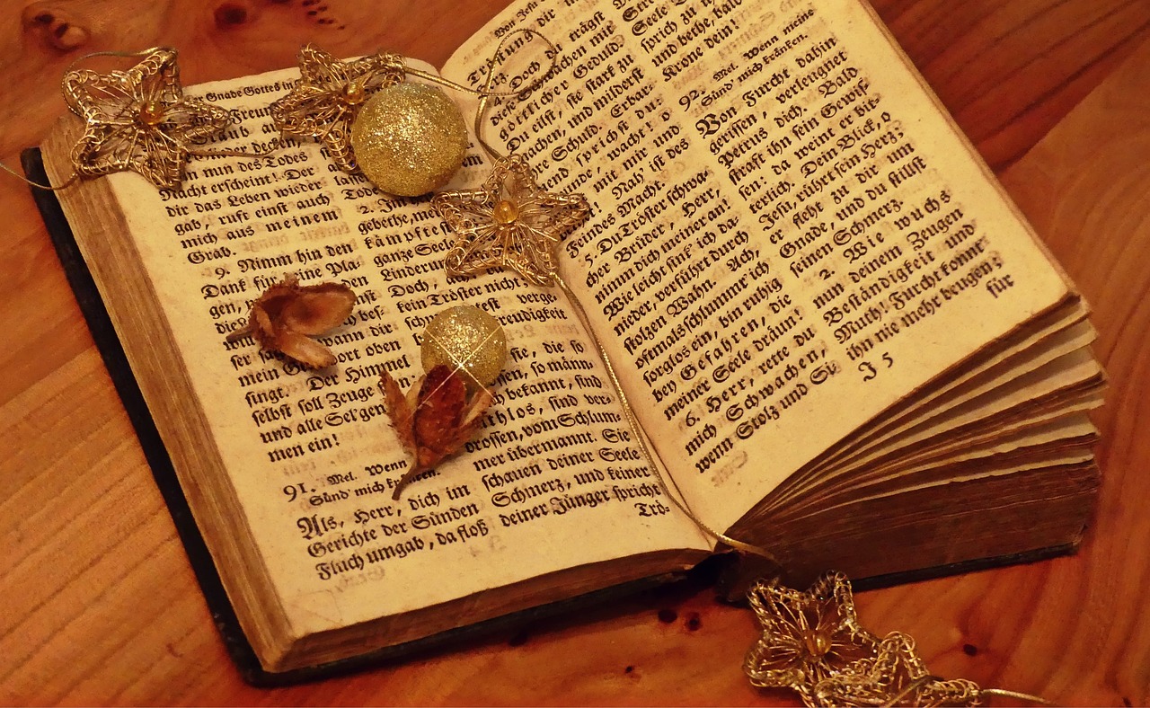 嫖文執(zhí)行者，探索與啟示的最新章節(jié)