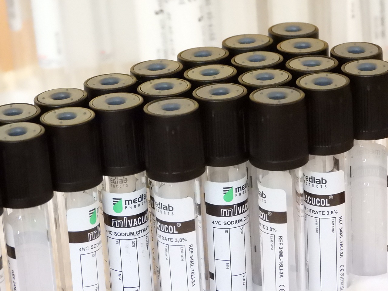 一枕庭前雪 第19頁(yè)