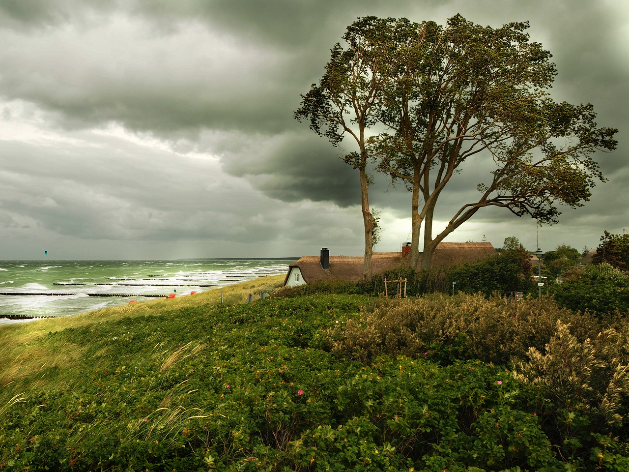 山東海洋天氣預(yù)報(bào)更新及分析，最新海洋氣象動(dòng)態(tài)揭秘