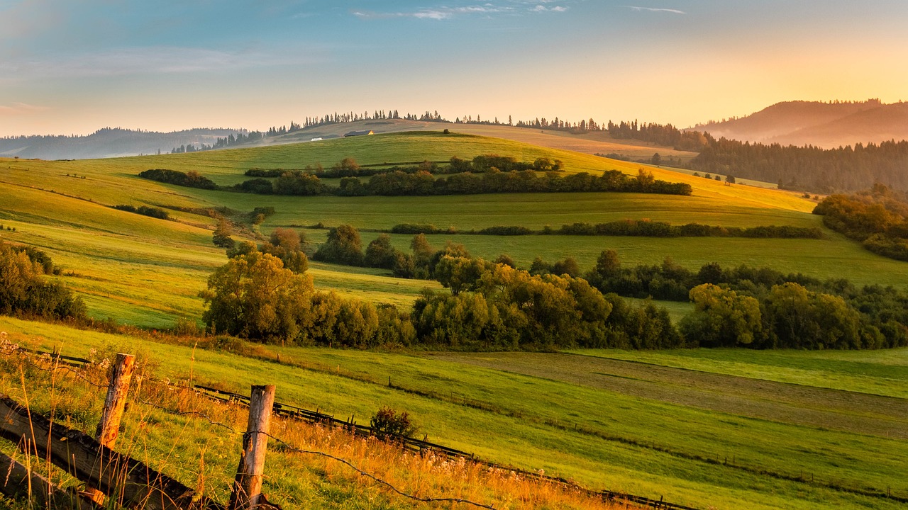 保定青竹園最新進(jìn)展，城市綠色發(fā)展典范工程進(jìn)展順利