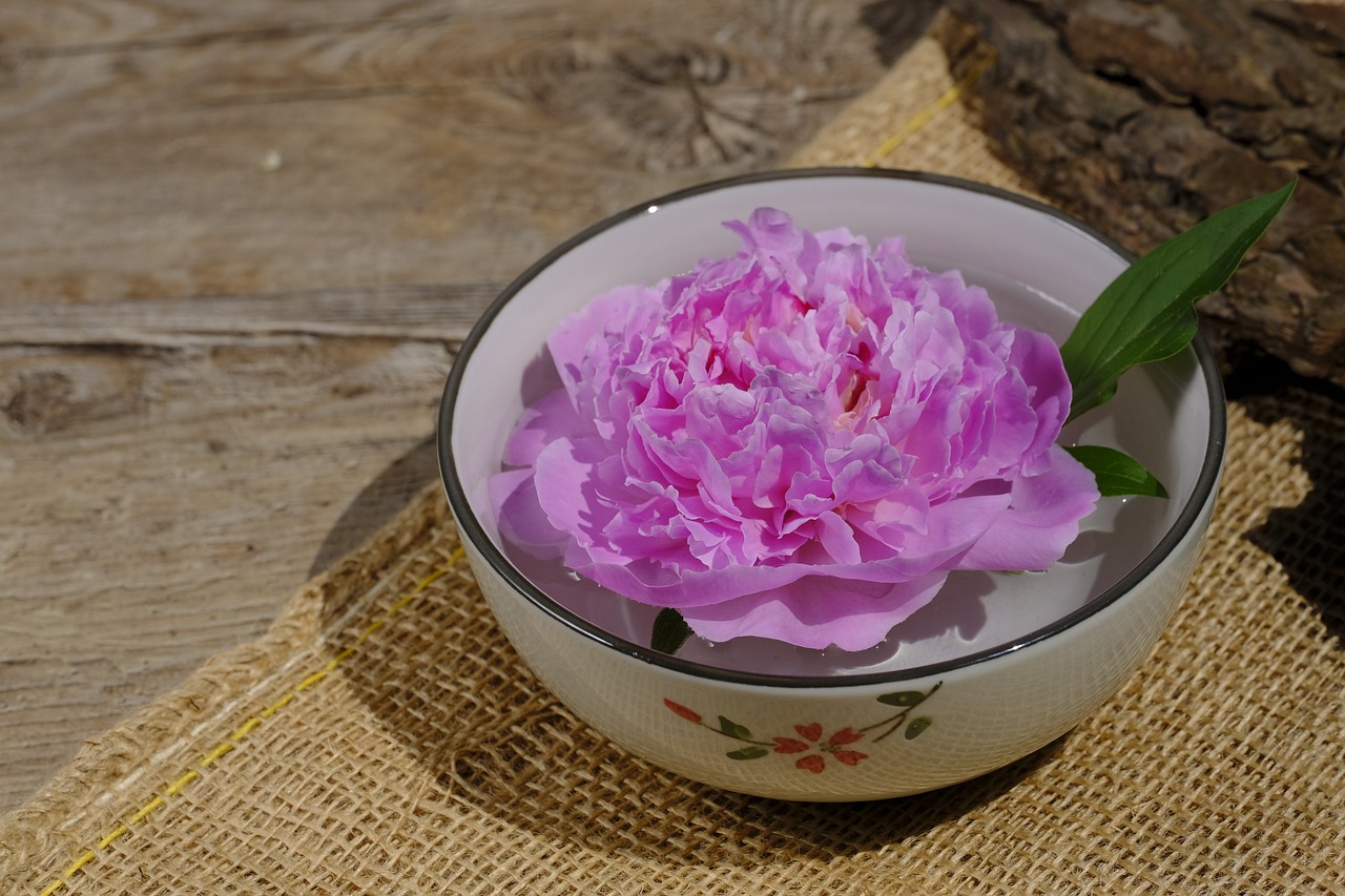 大康牧業(yè)利好消息深度解析，最新動(dòng)態(tài)帶來積極前景