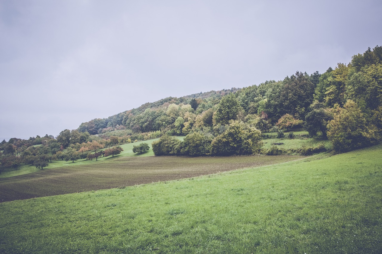 上港孫祥最新動態(tài)及未來展望，賽場內(nèi)外的關(guān)注焦點