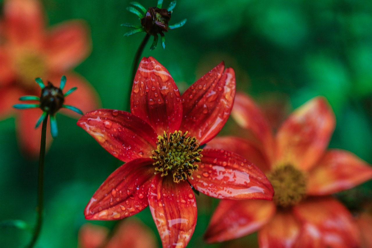 懷來萬悅廣場，城市新地標(biāo)，引領(lǐng)未來生活風(fēng)尚新動態(tài)