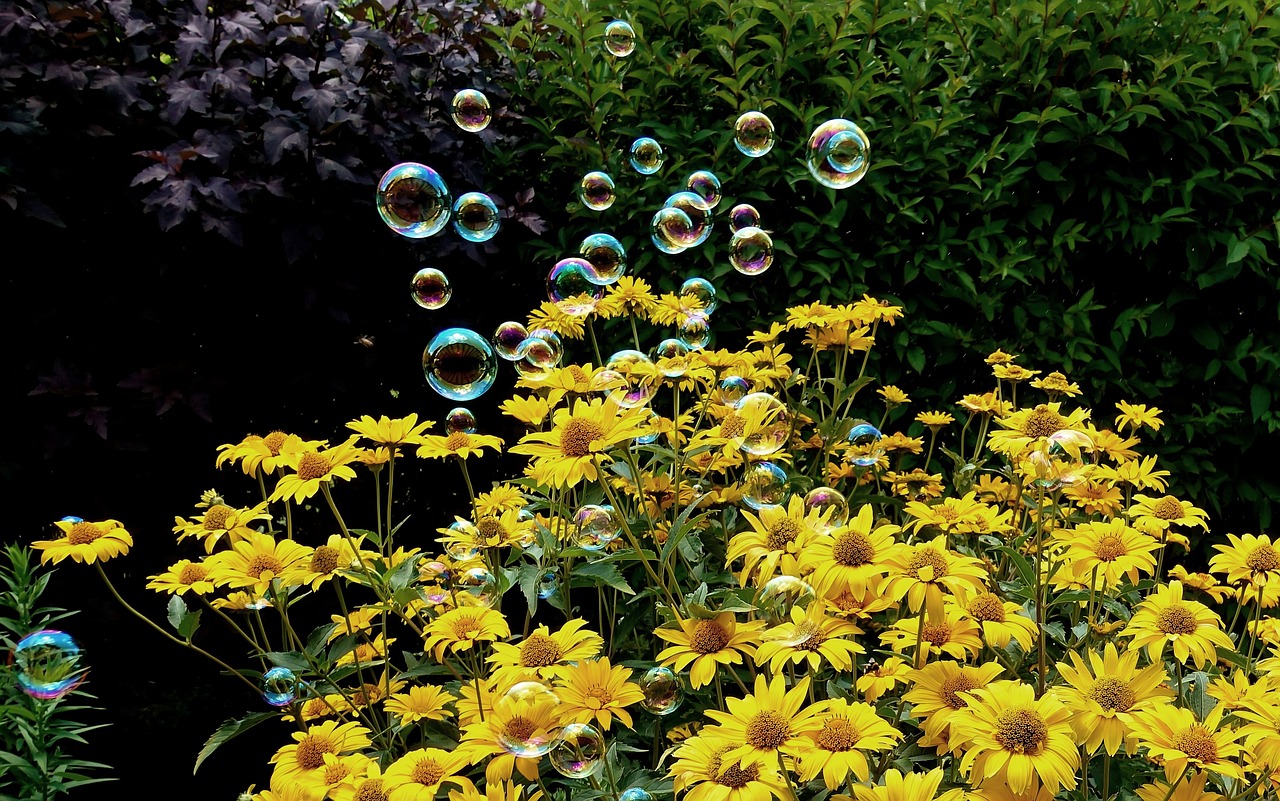 盱眙馬壩鐵路最新動(dòng)態(tài)，深度解析最新消息