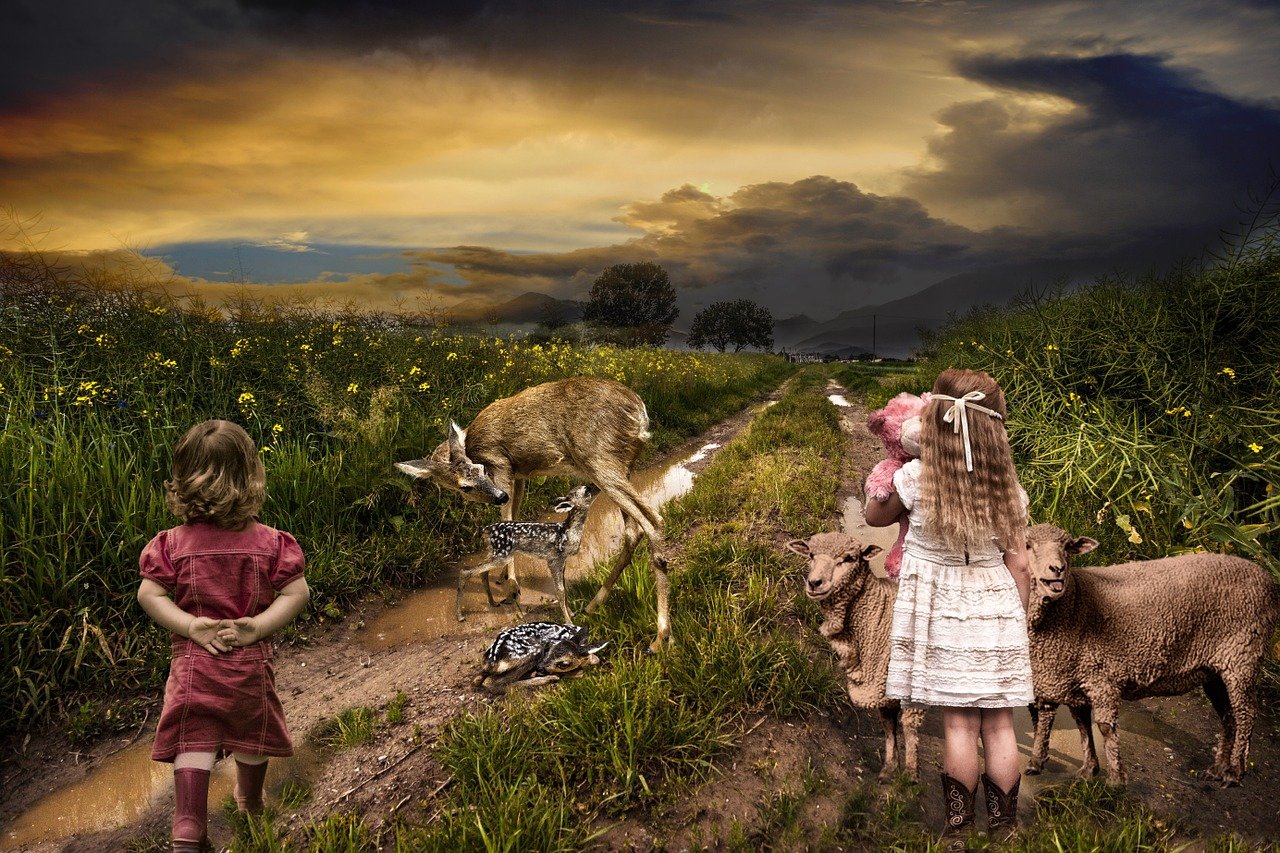 逍遙派最新章節(jié)，奇幻之旅探尋神秘世界