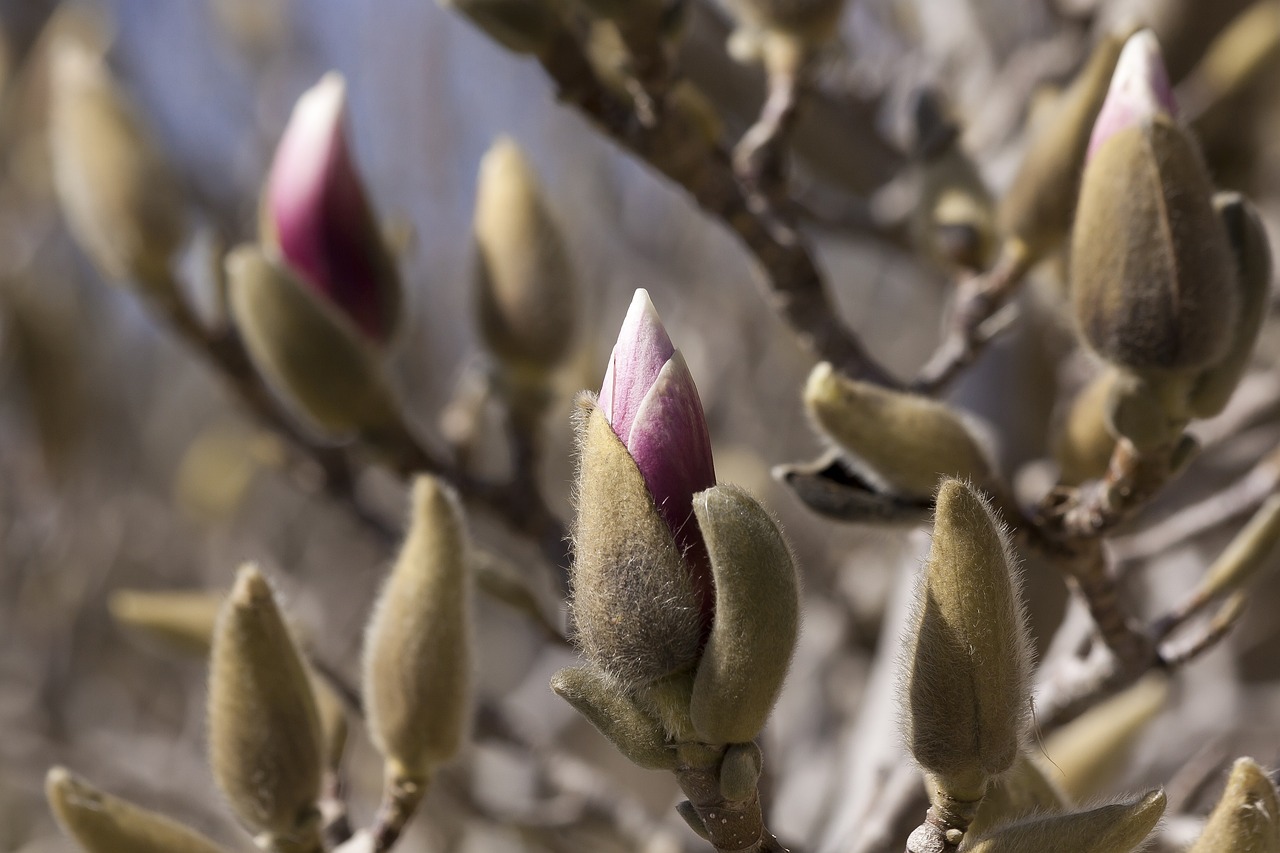 泗陽高鐵最新進(jìn)展報告更新，最新動態(tài)揭秘！