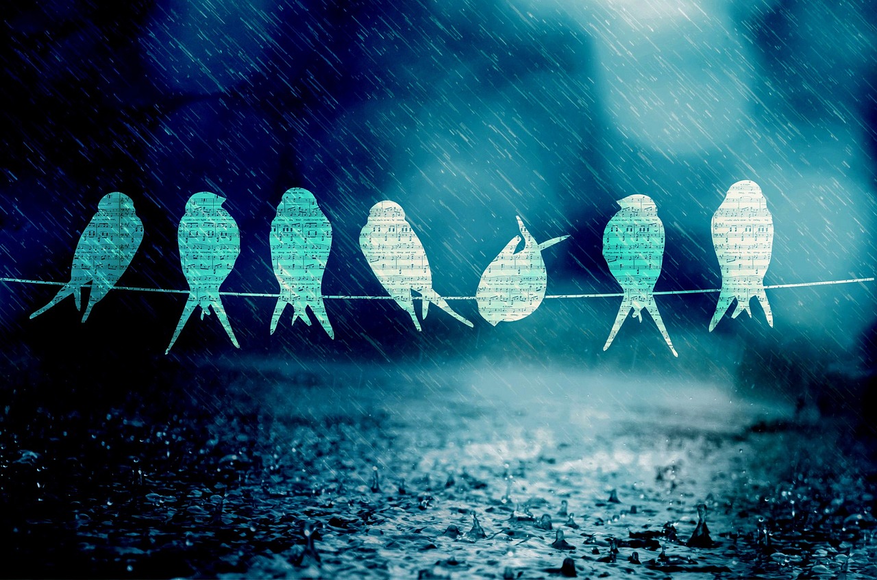 舟山自貿(mào)區(qū)蓬勃發(fā)展，海洋經(jīng)濟(jì)新引擎揭秘最新動態(tài)