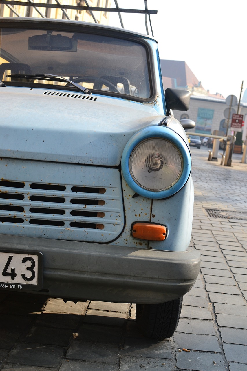 謝娜試管懷孕之路艱辛，終于迎來好消息，最新懷孕動態(tài)揭秘