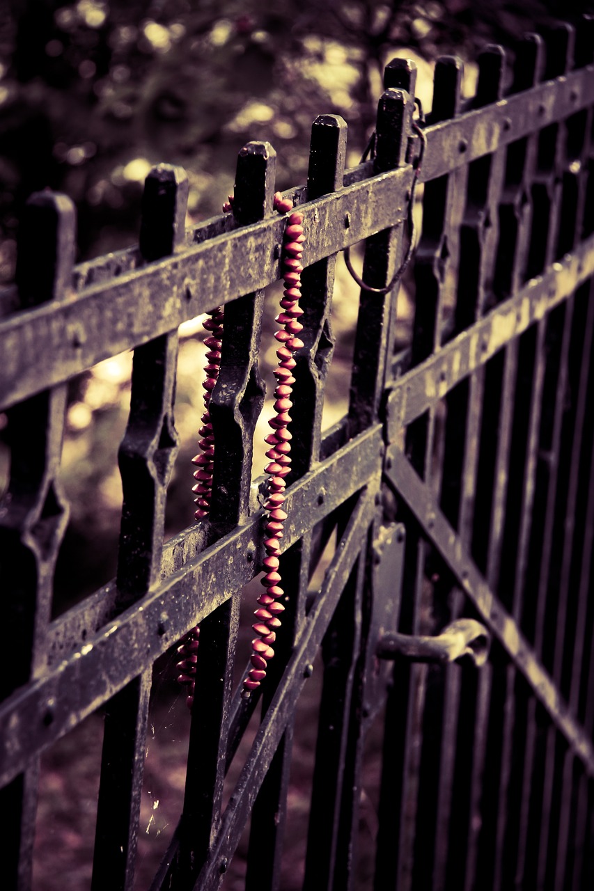 稀有金屬隕石最新探索，宇宙神秘禮物的最新消息