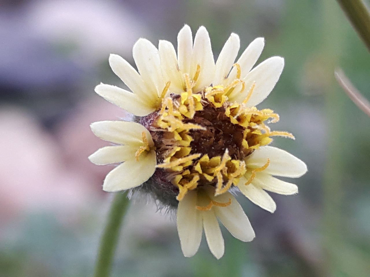 烏市地鐵招工最新動態(tài)，城市軌道交通建設中的機遇與挑戰(zhàn)并存