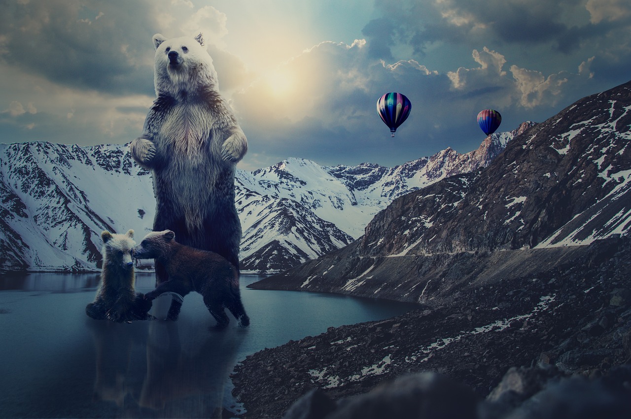 帝王雷最新版本下載，探索與體驗之旅