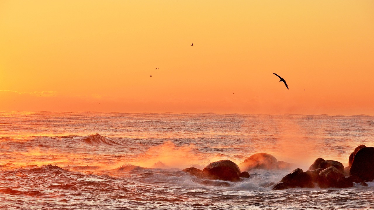 舟山出海捕魚最新招聘啟事，探索海洋的機遇與挑戰(zhàn)