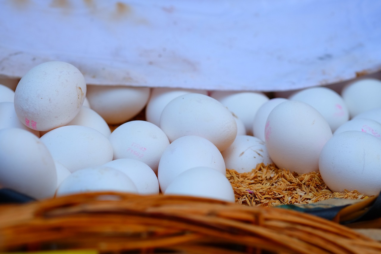 瀏陽關(guān)口未來展望，最新發(fā)展動(dòng)態(tài)及前景展望