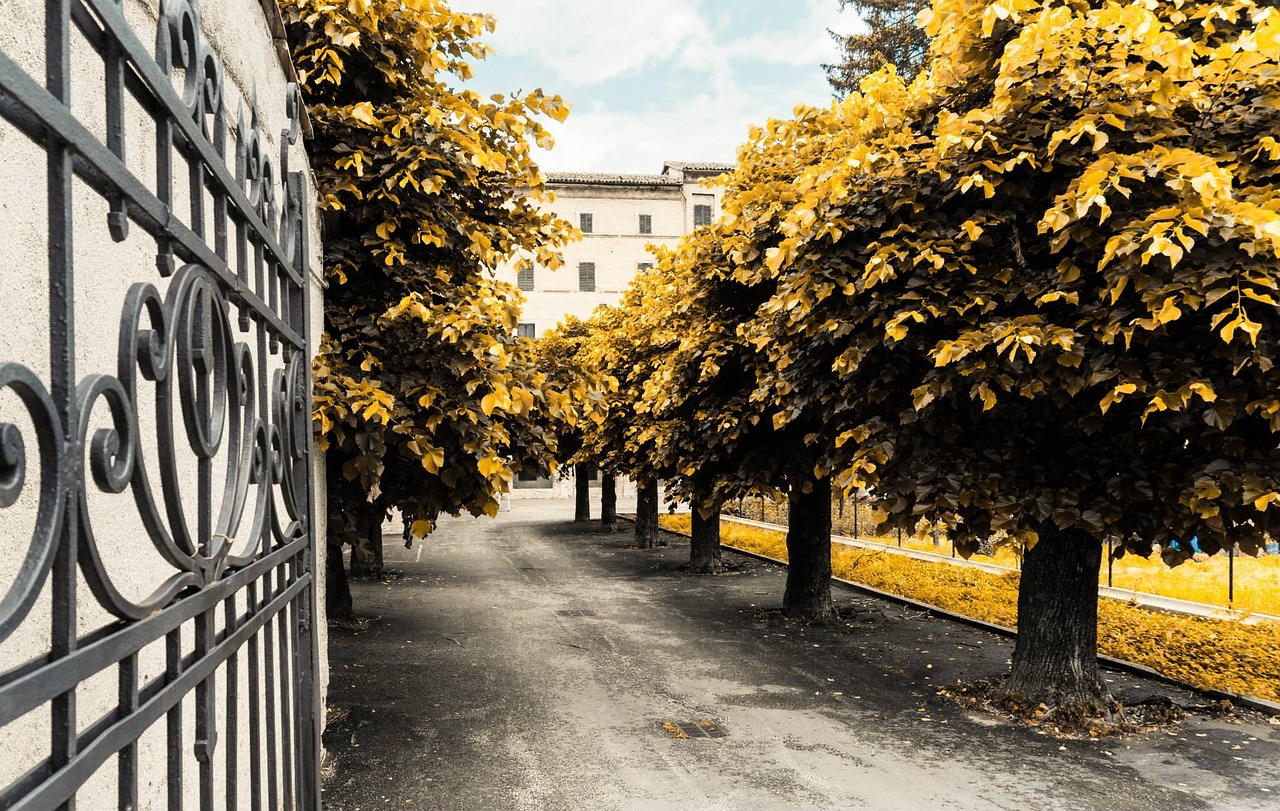 葉榭大型社區(qū)打造現(xiàn)代化新城，宜居宜業(yè)最新進(jìn)展消息