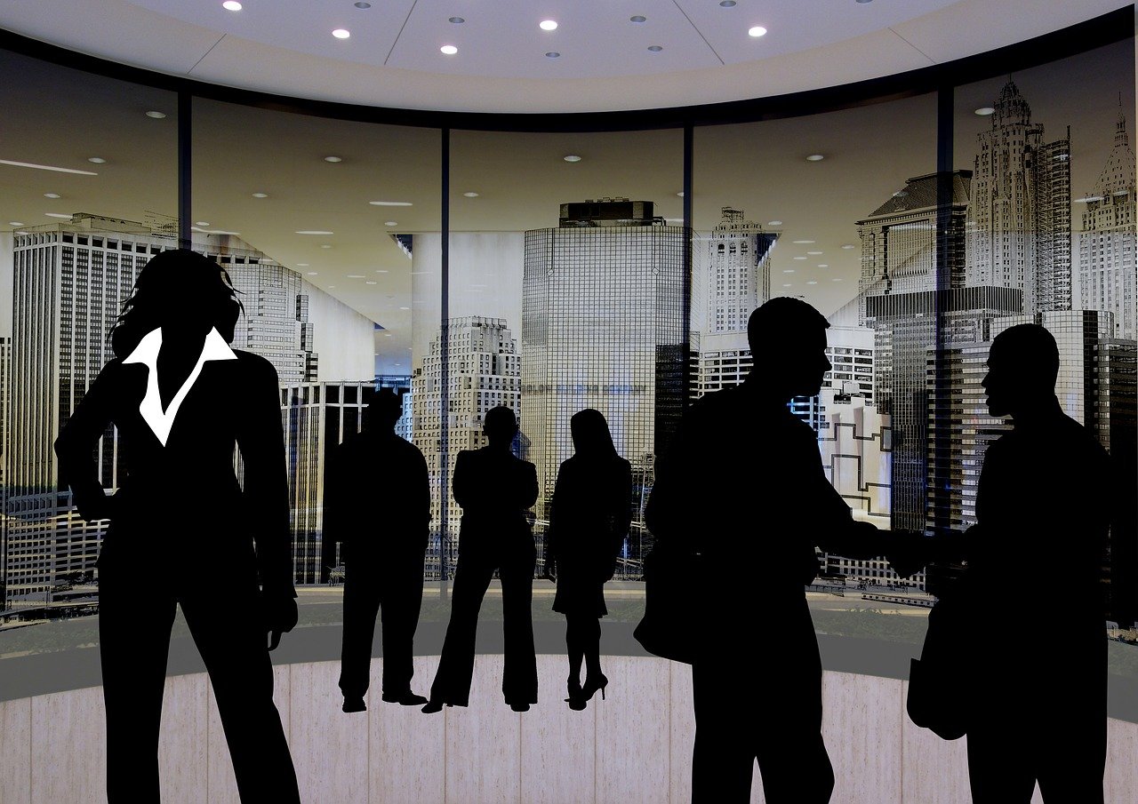 陸良最新人事任免動態(tài)及解析，2016年人事調(diào)整概覽