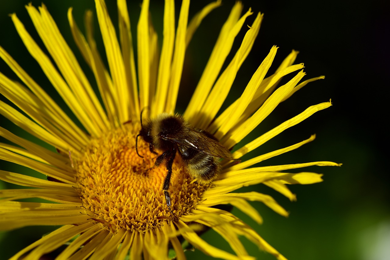 太原城市改造最新動(dòng)態(tài)，煥新顏，發(fā)展提速